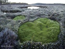 © Rob Blakers Skullbone Plains