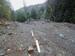 © Rob Blakers Tarkine/takayna