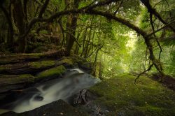 © Peter Walsh Weld Valley.