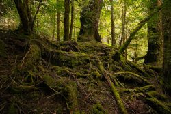 © Peter Walsh Weld Valley.