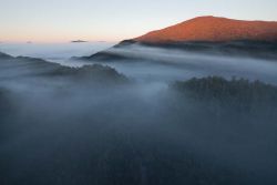 © Rob Blakers Tarkine/takayna