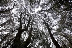 © Rob Blakers Vale of Belvoir