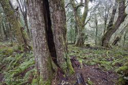 © Rob Blakers Vale of Belvoir