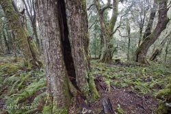 © Rob Blakers Vale of Belvoir